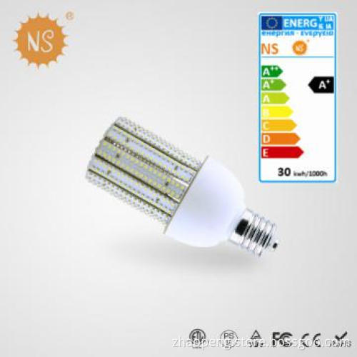 ERP ETL TUV CE ROSH 30w Led Garden Lamp